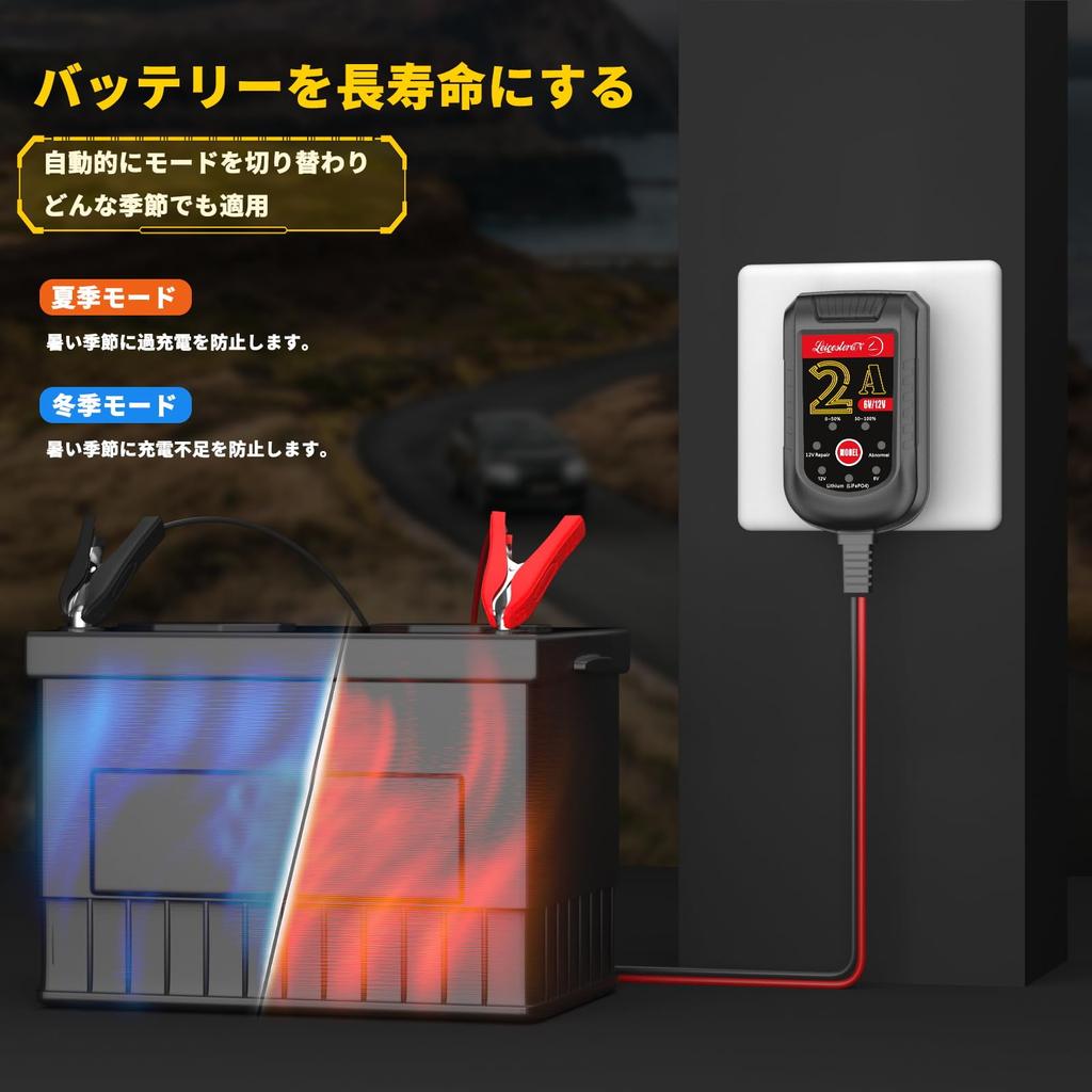 LeicesterCNL LST Charger for 6V and , Charger, Bad Identification, 72-Hour