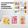 205Pcs Pressed Dried Flower For Resin Natural Dry Flower Leaf with Tweezers Sticker for Art Craft Candle Jewelry Making