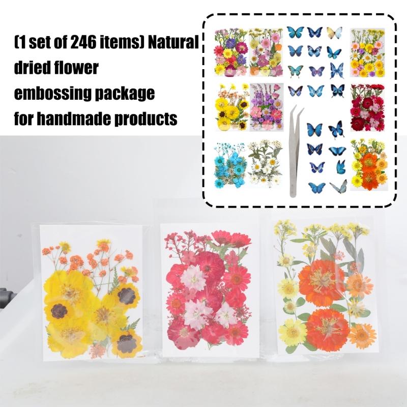 205Pcs Pressed Dried Flower For Resin Natural Dry Flower Leaf with Tweezers Sticker for Art Craft Candle Jewelry Making