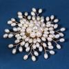 Korean Style Pearls Badge Elegant Luxury Sense Brooch Clothes Accessories Suit Collar Pin  Women