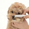 Pet Cleaning & Bathing Hair Teeth Face Eye Needle Flea Comb for Cats and Dogs for Grooming