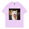 Silly Cat Bleh Funny Meme Graphic T Shirts Unisex Unisex Casual Cotton Short Sleeve TShirts High Quality Fashion Oversized TShirt
