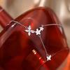 Серебряное ожерелье 925 пробы с цветком для женщин, простое, элегантное, блестящее, с цирконом, бабочкой, кисточкой, ключичная цепочка, свадебные украшения, подарок