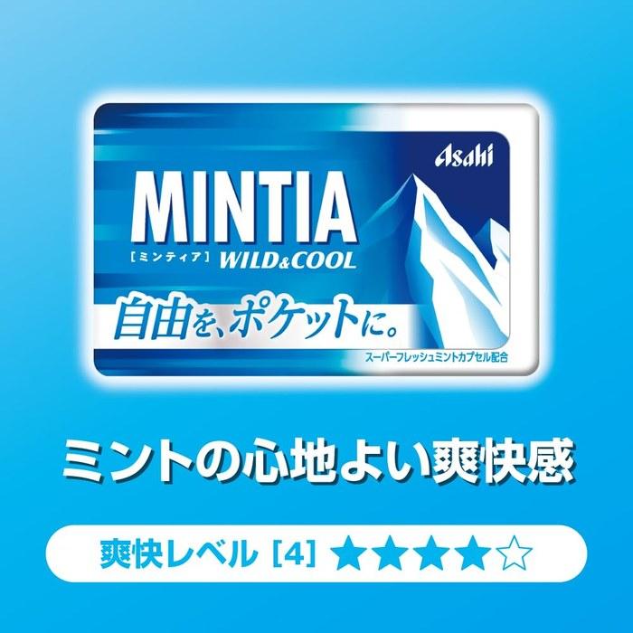 Asahi Group Foods Mintia Wild & Cool 50 штук x 10 упаковок, Белый