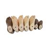 SACH Prosthetic Foot 12-30cm | Beige/Brown for Adults & Children | Durable