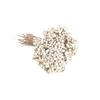 Nordic White Dried Flowers: Natural Branches for DIY Arrangements & Handmade Decor.