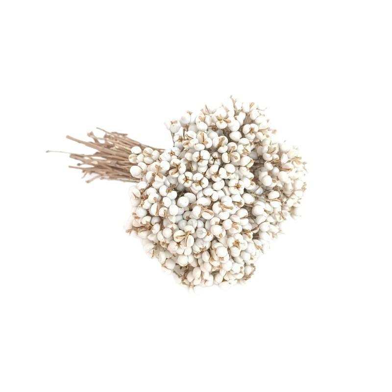 Nordic White Dried Flowers: Natural Branches for DIY Arrangements & Handmade Decor.