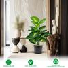 Искусственное зеленое растение в горшке Искусственная зелень Растение для помещений Напольное поддельное растение в горшке