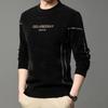 New Sweatshirt Men's Spring Autumn Thin T-shirt Long-sleeved Wool Top Base Top Round Neck Fashionable