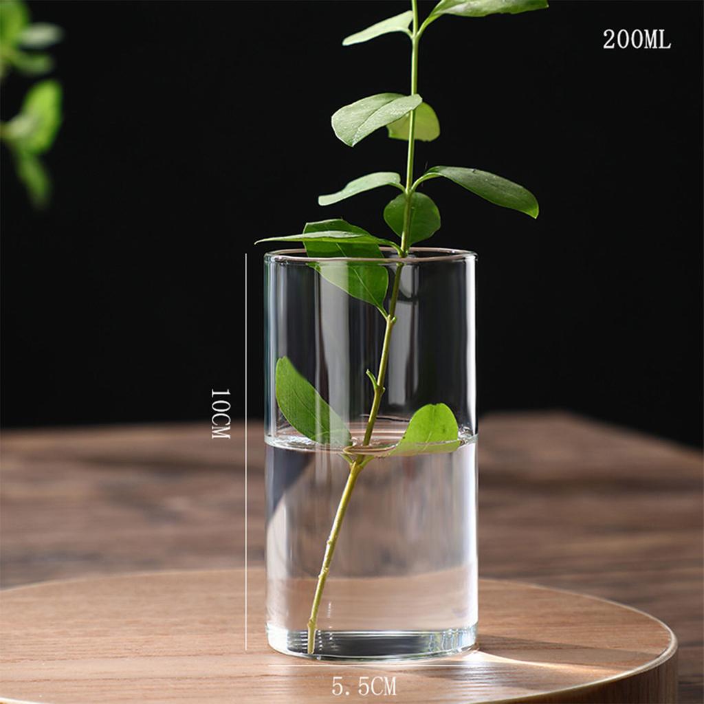 Transparent Glass Hydroponic Vase Modern Small Cylinder Flower Centerpiece Vases Use for Floral Wedding Home Decoration