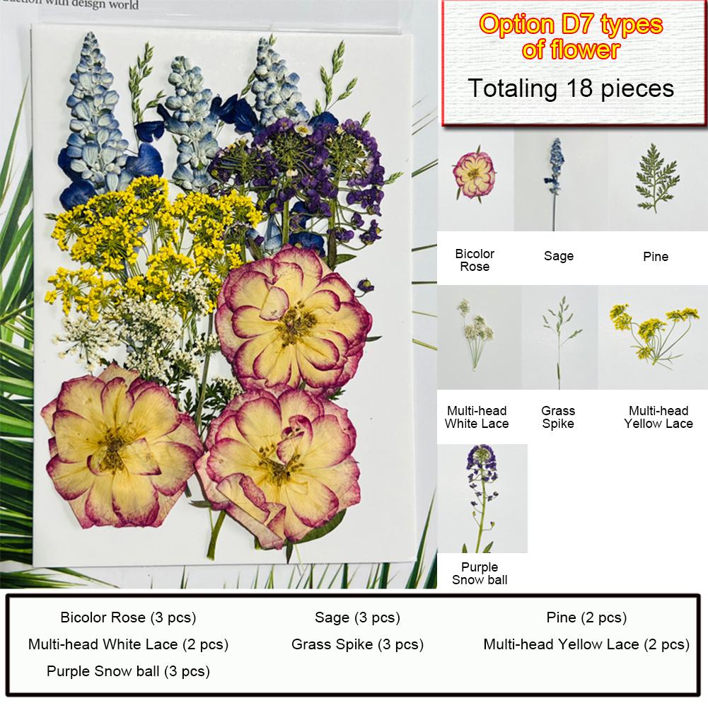 Dried Pressed Flowers For Resin Crafts, Flower Natural Dried Fillers, Assorted Real Natural Bulk Dry Floral Leaves For Scrapbook