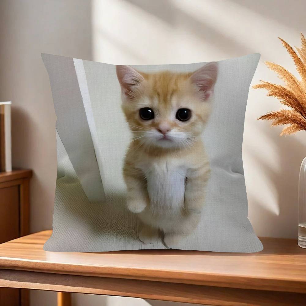 Funny Cat MMeme cm Cushion Cover Pillow Cover Decor Pillowcase Home Pillowcase for Couch Pillow