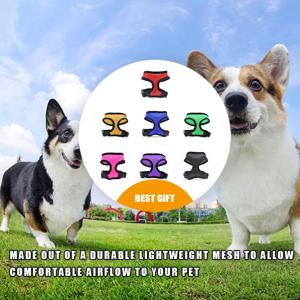 Популярная регулируемая шлейка для домашних животных, кошек, щенков, собак, прогулочный ремень, жилет из мягкой сетки, безопасность
