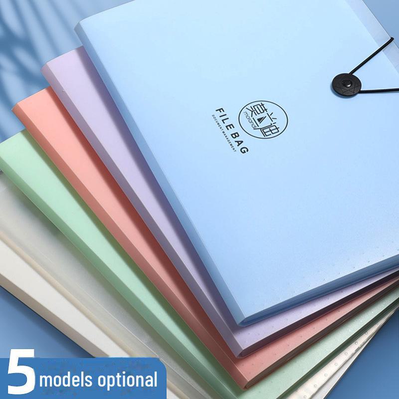 Многослойная папка-гармошка Morandi A4 для контрольных работ студентов