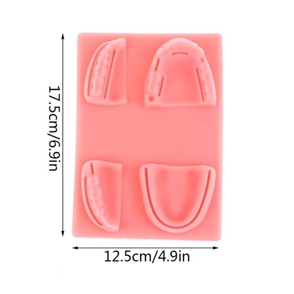 Силиконовая модель для обучения стоматологии 4 типа ран Модель для тренировки наложения швов на десну Для обучения стоматологов