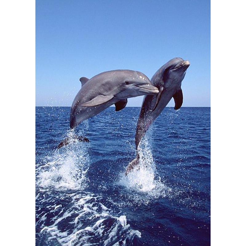 DIY Dolphin 5D Diamond Painting Full Round/Round Drill Animal Embroidery Cross Stitch Rhinestone Home Decor Christms Gift