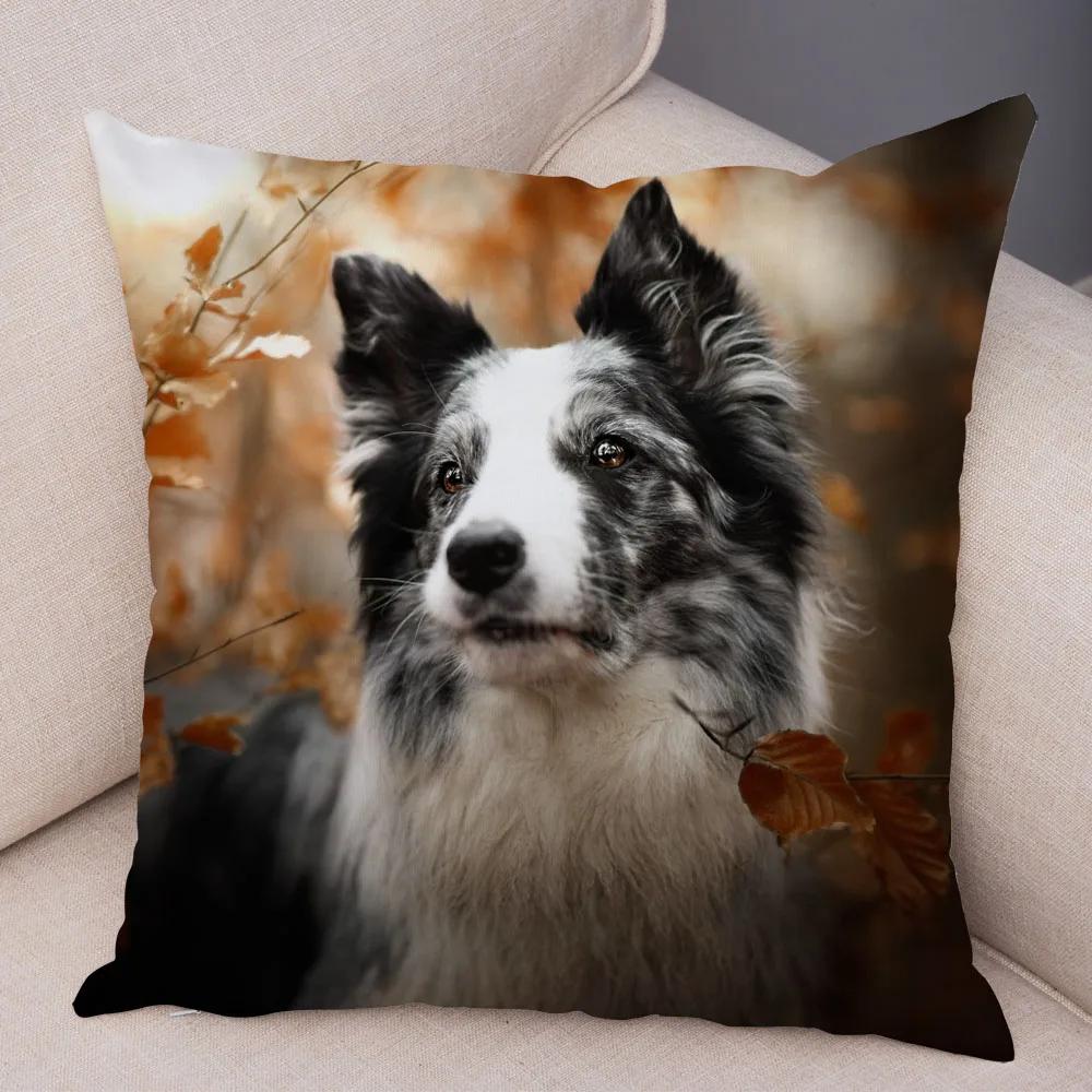 Soft Plush Cute Pet Animal Cushion Cover Scotland Border Collie Pillowcase for Sofa Car Decor Dog Printed Pillow Case