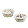 Yamaka Shoten MOOMIN Bowls and Microwave Moomin Nordic Day Wedding Made In "Herbarium" Plates, Approx. 13.5cm Diameter, Pair, Safe, Merchandise,