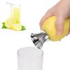 For Lemon Orange Limes Citrus Fruit Tool Juice Squeeze Hand Juicer Pourer Screw Stainless Steel Manually Lemon Squeezer