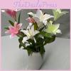 Реалистичные 3D Тканевые Лилии Искусственные Цветы Для Домашнего Декора Свадебное Центральное Украшение Цветочная Композиция