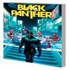 Black Panther by John Ridley Vol. 3 by John Ridley Paperback Book 9781302947651