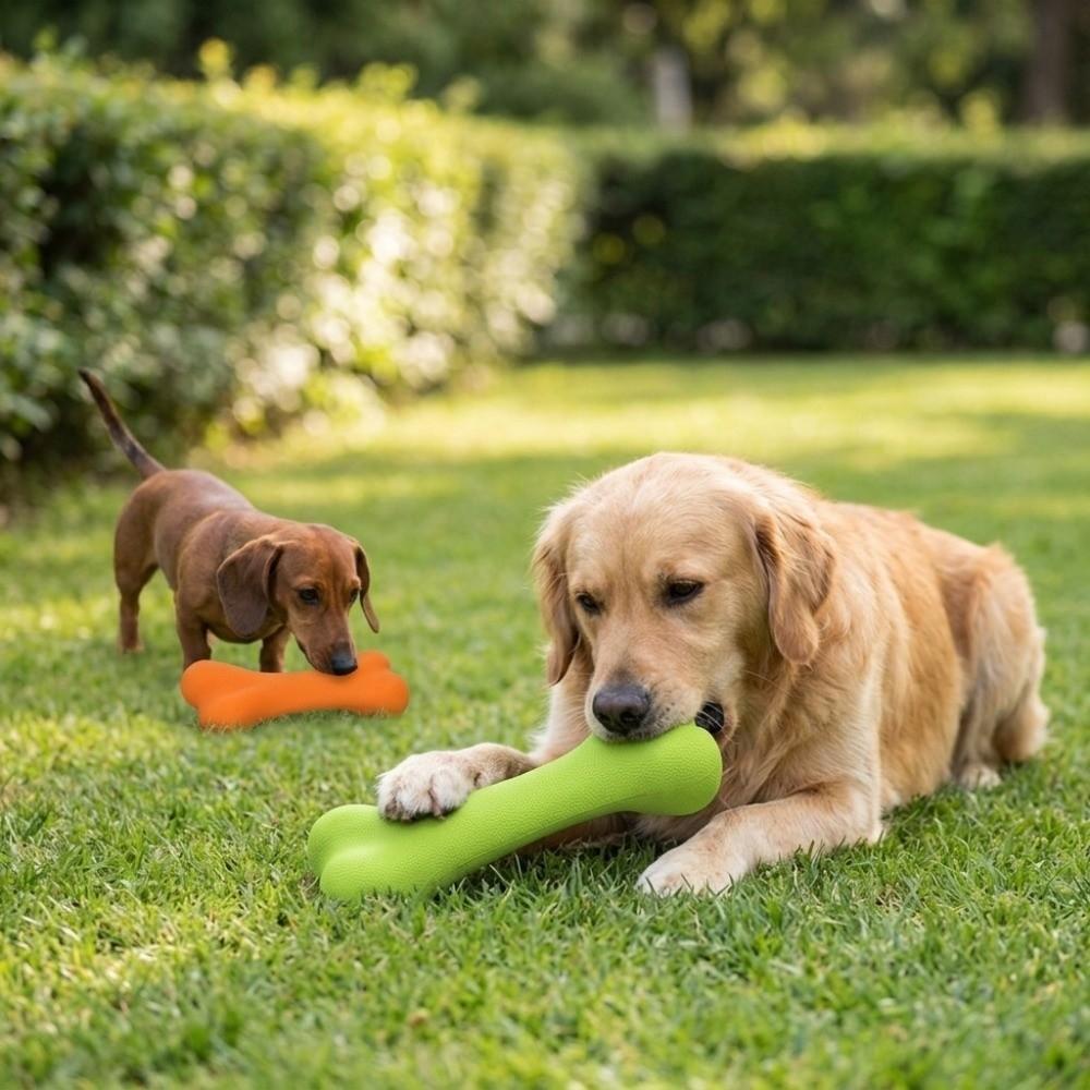 Wear Tough Bone Dog Toy Solid Rubber Texture Puppy Molar Toy Puppy Teething Care