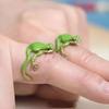 2Pcs Rings Lightweight Handmade Tree Frog Finger Ring Animal Accessory Jewelry