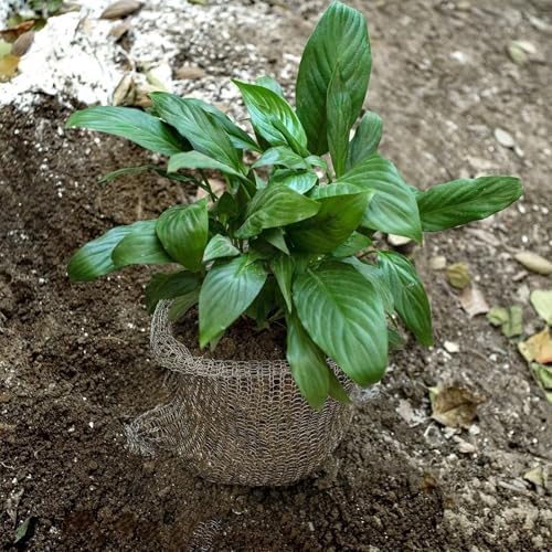 15 Pack Mole Net Underground Wire Baskets for Bulb Planting, Tree Roots, Vegetable Garden