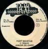 7inch Record JUNIOR DELGADO - Fort Agustus NONE Taxi 1980 Jamaica Reggae, Ska & Dub Used