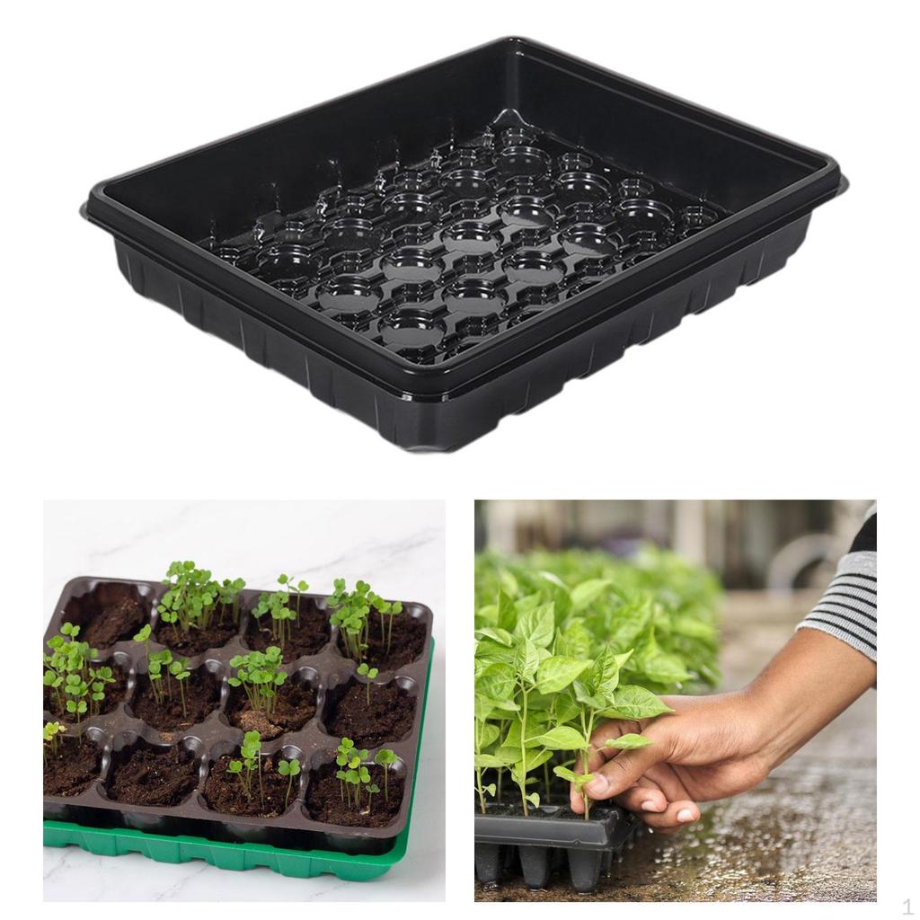 Стартовый набор премиум-класса для домашнего садоводства