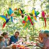 6 Pcs Hawaiian Party Supplies Tropical Birds Party Decorations Paper Parrot Honeycomb Cutouts Pendant for Tiki Bar Luau Rainforest Party Yards Decor