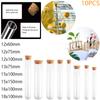 10PCS Transparent Plastic Test Tube with Cap U-shaped Bottom Long Transparent Test Tube Supplies Accessories