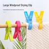 Windproof Plastic Clothespins for Towels and Quilts