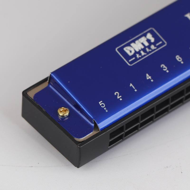 Harmonica Key Of C 24 Hole Diatonic Harmonica C With Case For Beginner Students Kids Gift Blues With Case
