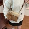 Niche Design Autumn and Winter Plush Bag Women's 2025 New Cute Women's Bag Popular Fashion Shoulder Messenger Bag