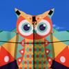Long Tail Colored Owl Kite Easy To Fly Plastic Flying Toy New Children's Kite  Outdoor Sports