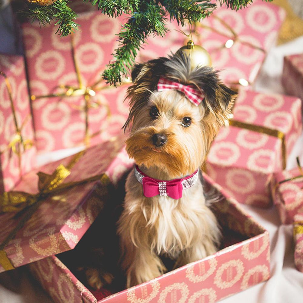 Small Medium Bling Rhinestone Suede Leather Bowknot Accessories Dog Collar Adjustable Pet Puppy Kitten Pug Necklace Collars