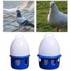 Hanging Bird Water Dispenser Automatic Pigeon Feeder Birds Supplies Pigeon Waterer  Parakeet
