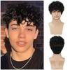 Men Wigs Natural Hairstyle Synthetic Fiber Short Brown Wig with Bangs Curly Wig Cosplay Carnival Halloween Costume Wig