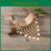 Fashionable Ethnic Style Multi Layer Tassel Design Women Metal Necklace Collar