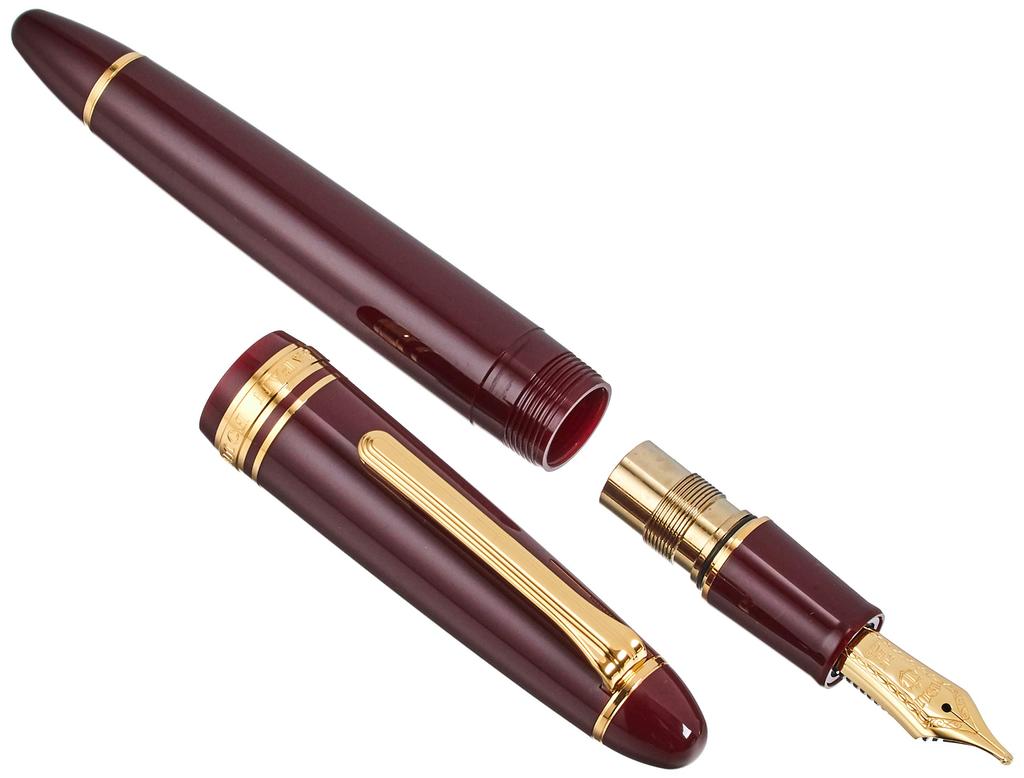 Sailor Fountain Pen Profit 21 Marun Zoom 11-2021-732