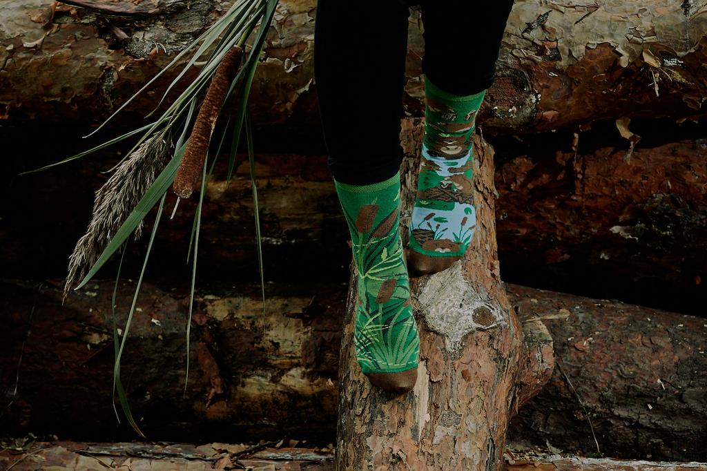 Бобры - разноцветные носки 44-46