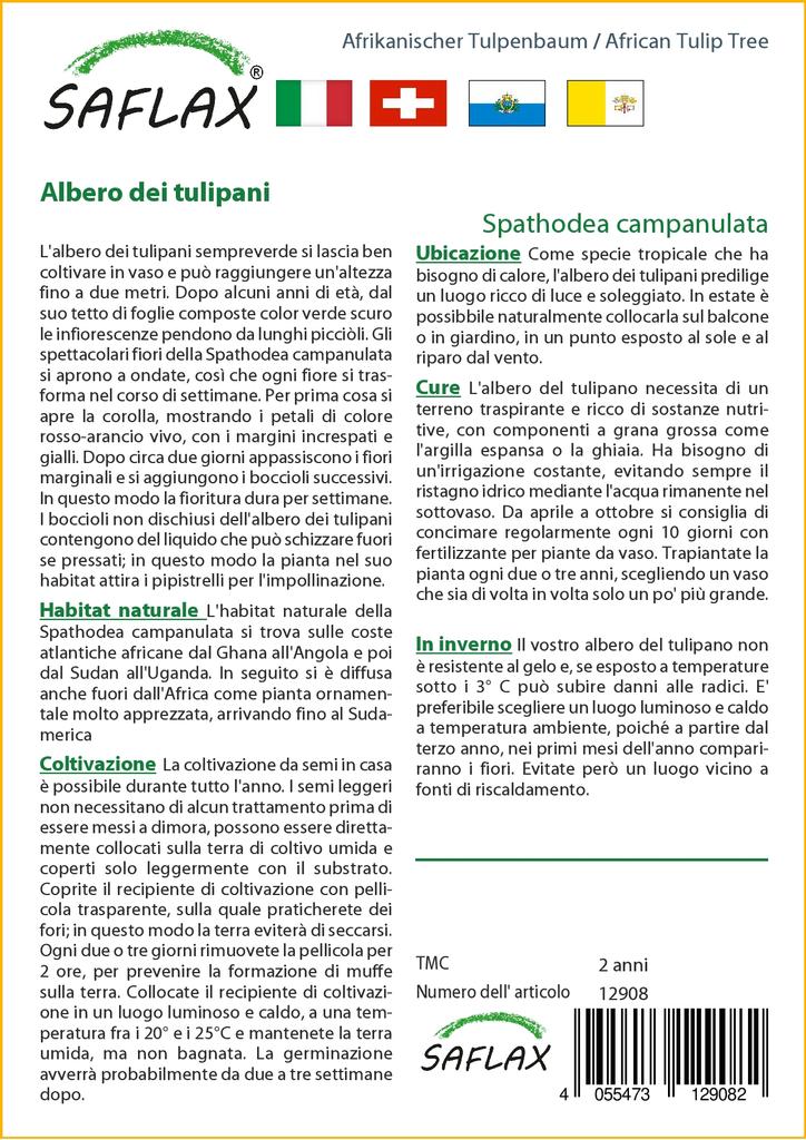 SAFLAX Африканское тюльпановое дерево - 30 семян - С горшечным субстратом для лучшего выращивания - Spathodea Campanulata