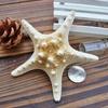 5/25/50 Pcs Flat Dried Starfish DIY Crafts Mini Sea Shells Ornaments Nautical Decor