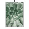 Abstrat Girl Lines Succulents Leaf Minimalist Wall Art Canvas  Posters PaintingAnd Prints Wall Pictures For Living Room Decor