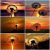 Diamond Painting Dandelion Full Square Mosaic Art Sunset Diamond Embroidery Landscape Picture of Rhinestone Home Decor