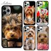 Чехол для телефона с собакой йоркширского терьера для iPhone 11 12 13 14 Pro Max mini X XR XS SE 2020 6 7 8 Plus Samsung Galaxy S21 S22