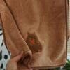Soft Capybara Pattern Cartoon Towel Super Absorbent Coral Velvet Bath Towel Cartoon Thicker Face Towel Bathroom