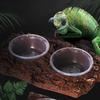 Reptiles Bowl for Feeding Watering Terrarium Bowls for Bearded Dragon Feeding Ledges Water Bowl for Chameleons Geckos