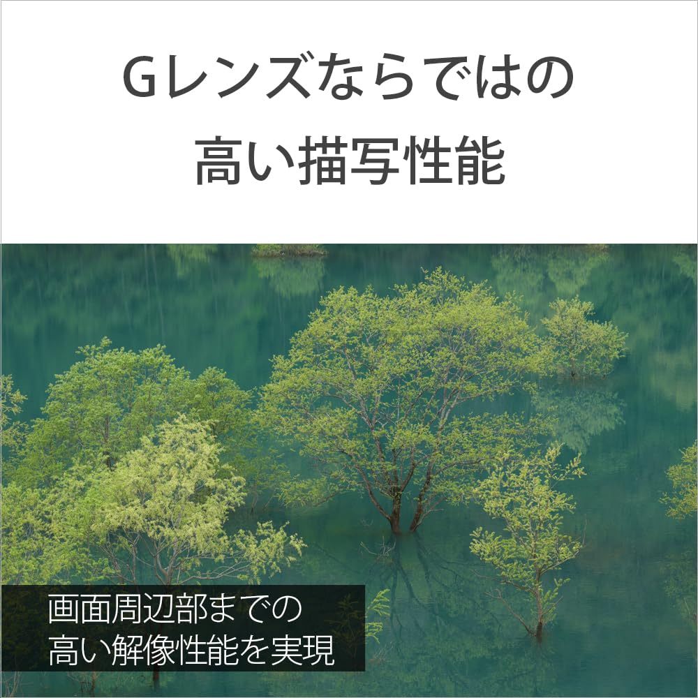 Sony Telephoto Zoom Lens Full Size FE F4 Macro G OSSII G Lens for Digital Single Lens Camera Genuine Lens SEL70200G2 70-20mm [E Mount]